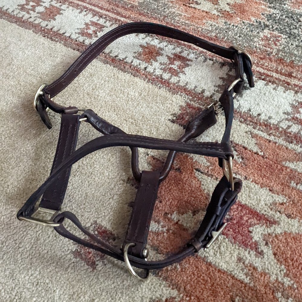 Brown Leather Halter - Large Pony/Cob
